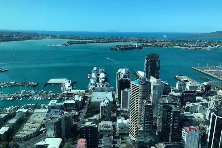 Auckland's heritage wine region & City Tours - Photo 1 of 5